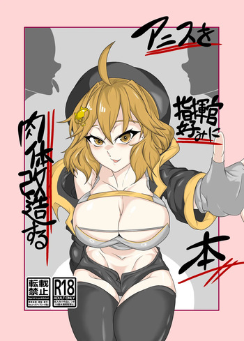 アニスを指揮官好みに肉体改造する本 cover
