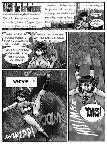 Barbi the Barbarienne 02 cover