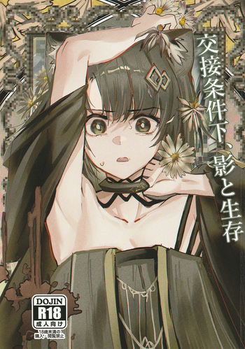 Kousetsu Joukenka,  Kage to Seizon cover