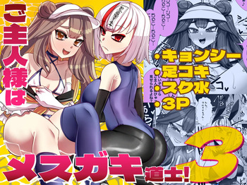 ご主人様はメス○キ道士！3 cover