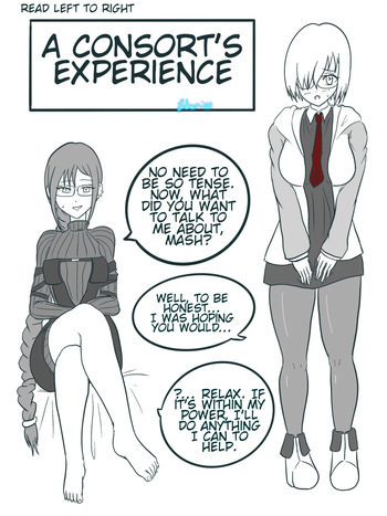 A Consort’s Experience cover