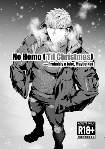 No Homo — Probably a Joke Maybe Not cover
