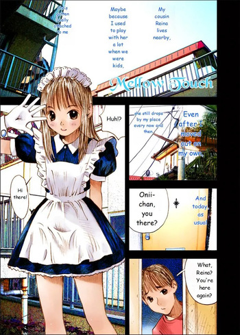 Mizumo Selection 4 ～Onichan to issho～ cover