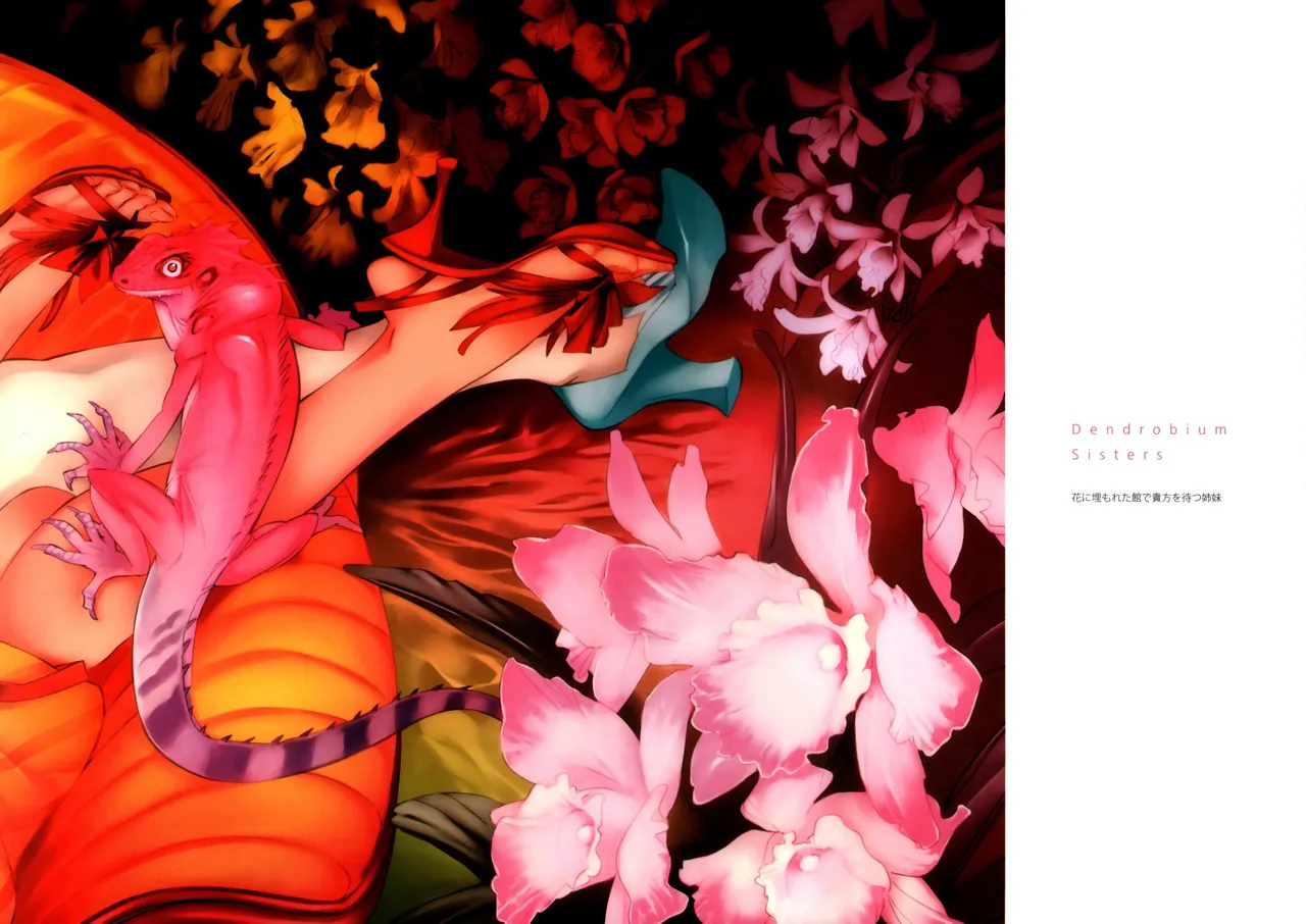Nishieda, Dendrobium - page 8 full