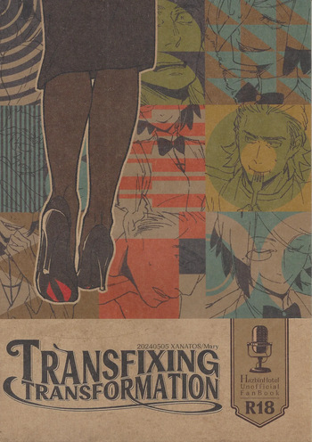 TRANSFIXING TRANSFORMATION cover