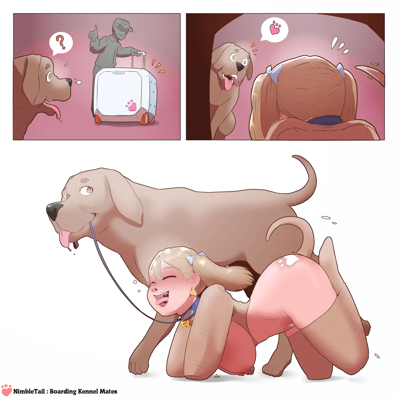 Boarding Kennel Mates page 3 full