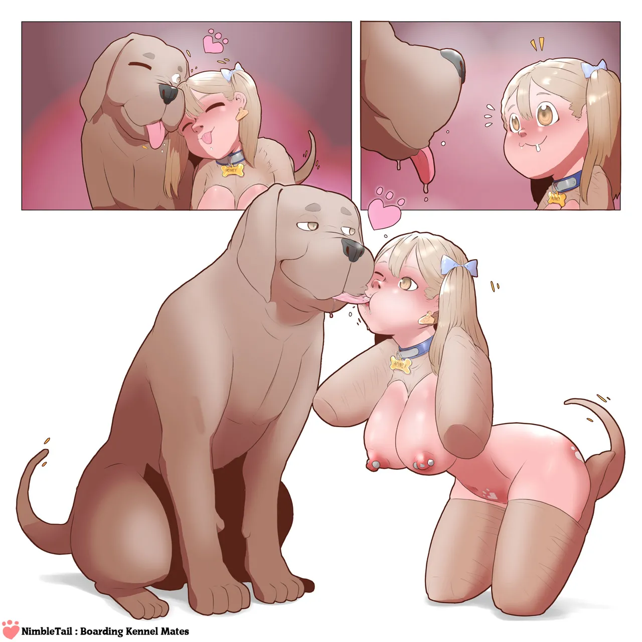 Boarding Kennel Mates page 4 full