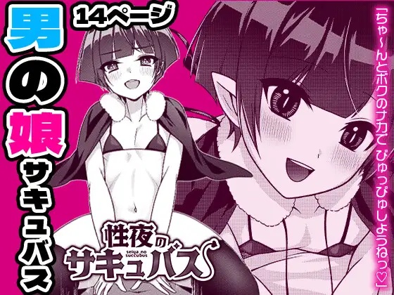 Seiya no Succubus | Hole night Succubus page 1 full