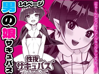 Seiya no Succubus | Hole night Succubus cover