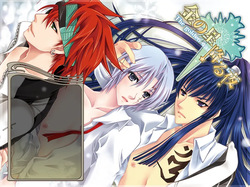 The night the golden star fell