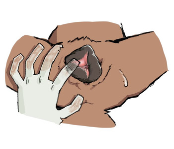 angra cover