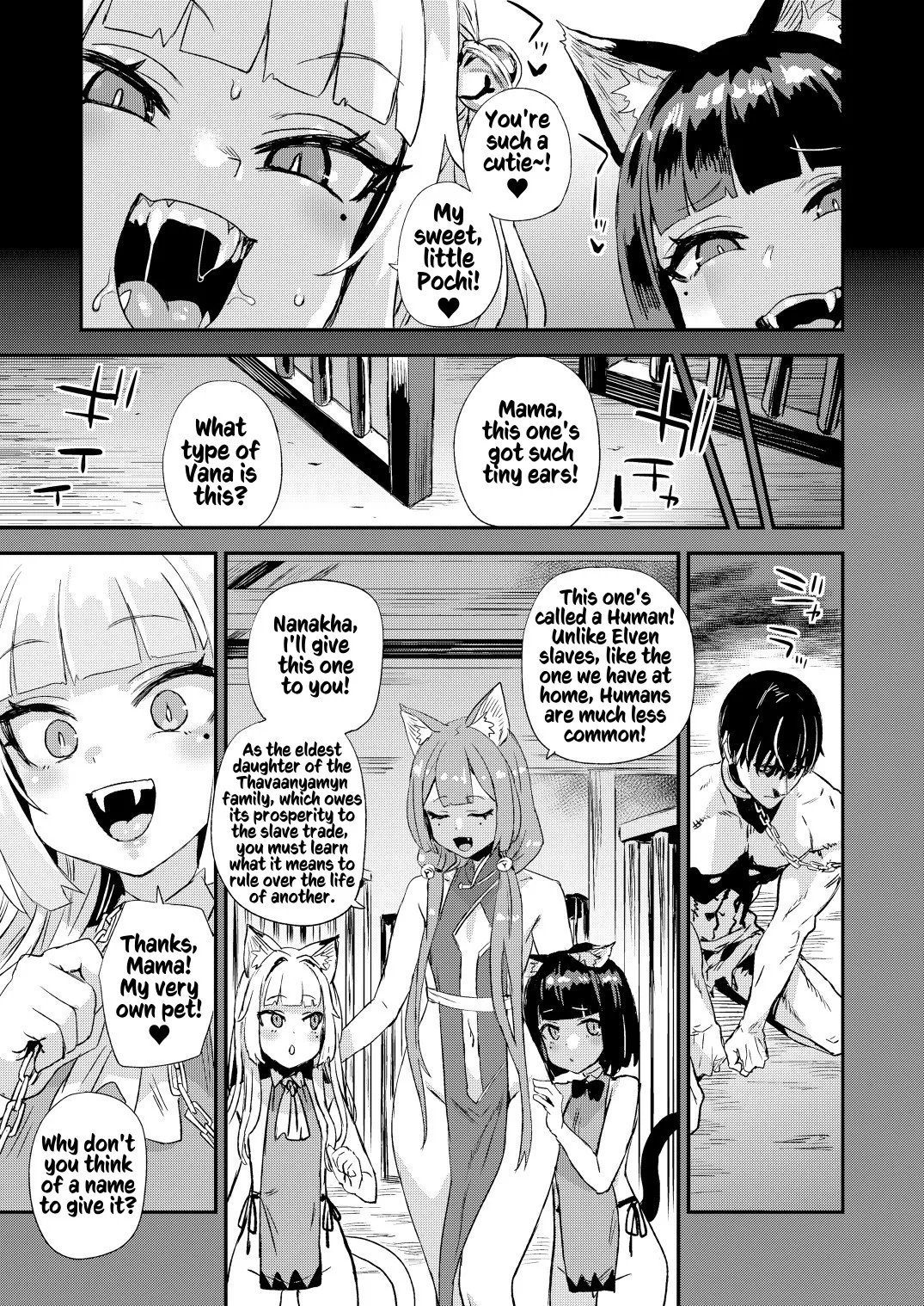 Nekozoku Musume wa Ningen o Kau. - CAT GIRLS KEEP A HUMAN page 4 full