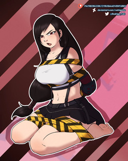 5. Bonus Set / 35. Bonus set - Tifa Lockhart