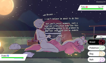 Poke Camping cover