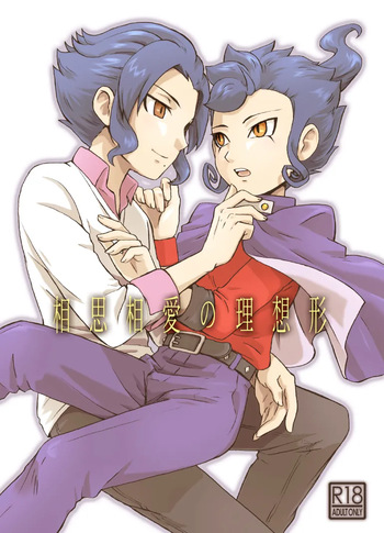 相思相愛の理想形 cover