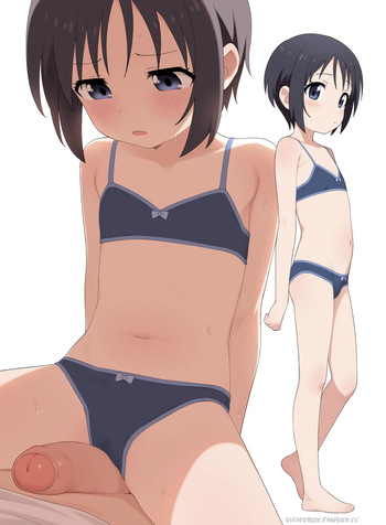 Shino cover