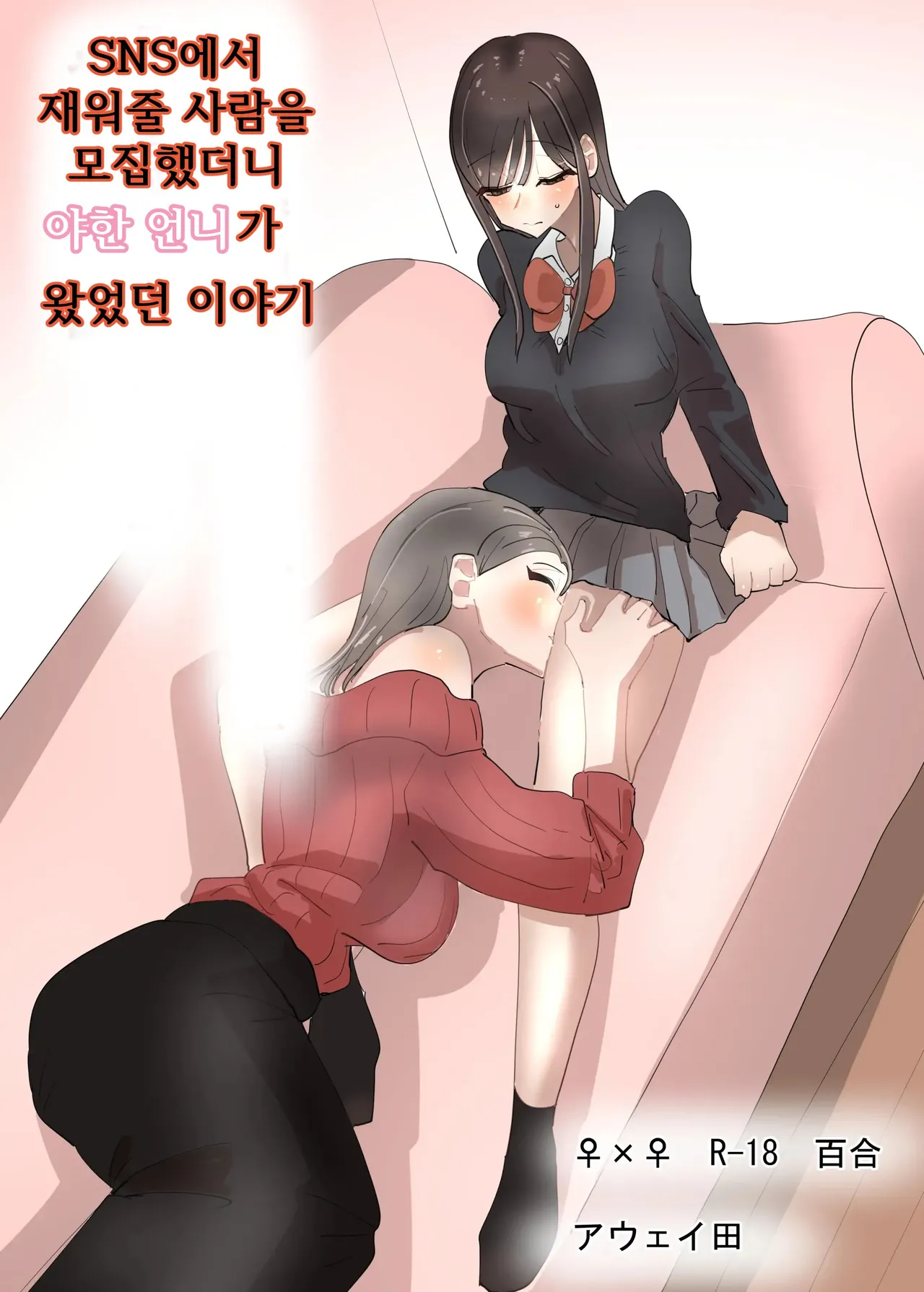 SNS de Tomarasete Kureru Hito o Boshuu Shitara Echiechi Onee-san ga Yattekita Hanashi | SNS에서 재워줄 사람을 모집했더니 야한 언니가 왔었던 이야기 page 1 full