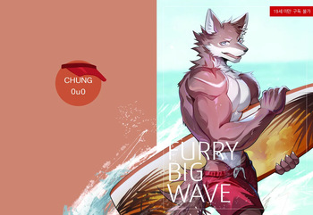 Furry Big Wave cover