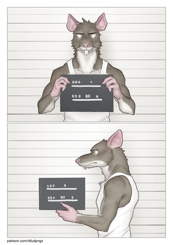 Rat's First Week cover