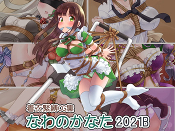 Chakui Kinbaku CG-shuu Nawa no Kanata 2021B cover