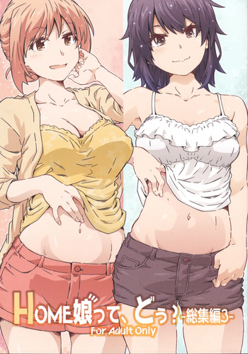 HOME Ko tte Dou? -Soushuuhen 3- cover