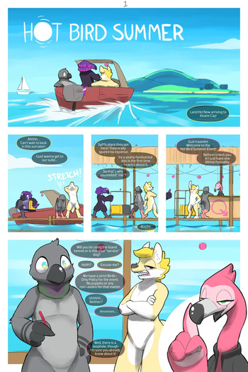 Hot Bird Summer cover