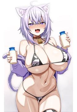 HandPlug  2026.01.11