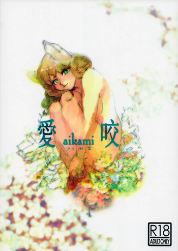 aikami cover