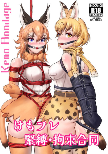 Kemo Fri kinbaku kousoku goudou cover