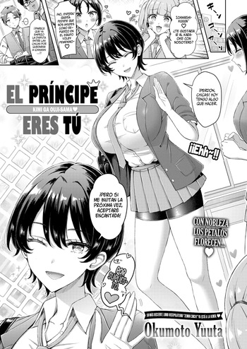 Kimi ga Ouji-Sama || El Príncipe eres tú cover