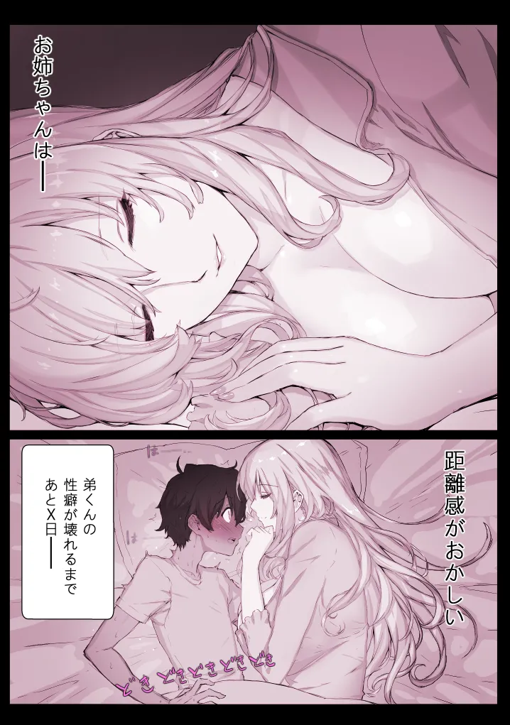 距離感がちょっとおかしいお姉ちゃんの漫画 page 2 full