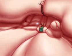 Living Lair Collection