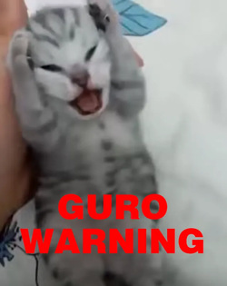 【Guro Warning】daiwu Mari iochi