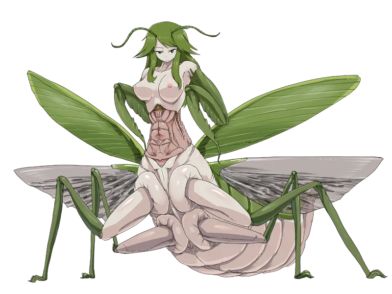 Setouchi page 5 full