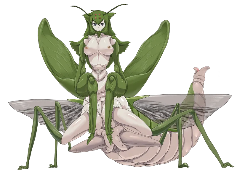 Setouchi page 6 full