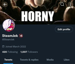 SteamJek / SteamJek2