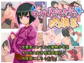 Tsundere Kimono Boy is a Meat Punching Bag cover