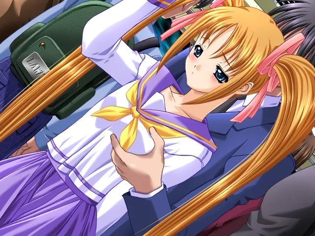 Saishuu Chikan Densha - DVD Edition page 8 full