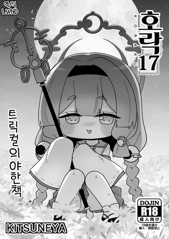 KORAKU 17 cover