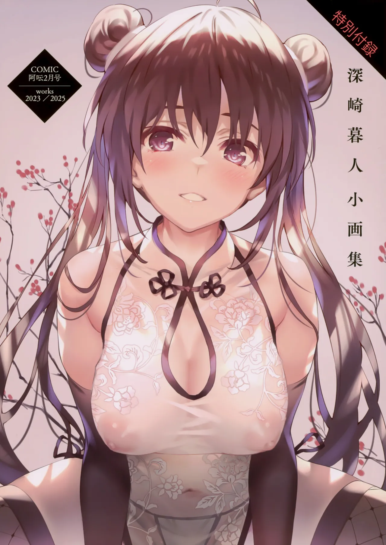Misaki Kurehito Shougashuu Vol. 9 Works 2023-2025 page 1 full