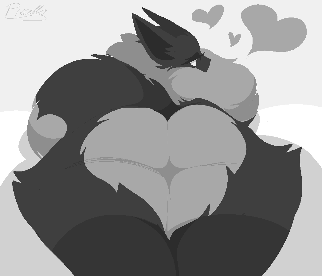 Pixcello page 9 full