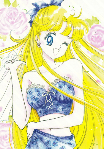 Sailor moon art compilation cover