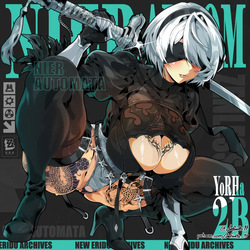 2B Nier Automata Rewards