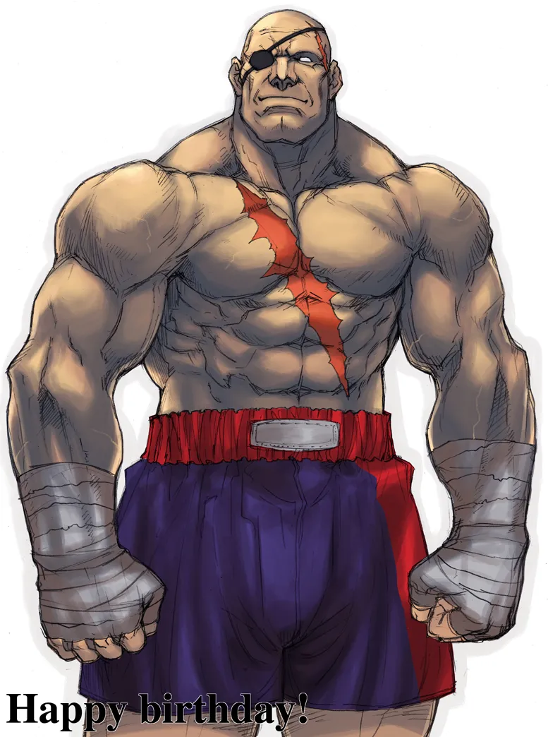 Street Fighter page 6 full