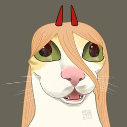 Drat Van 2025 Twitter rip