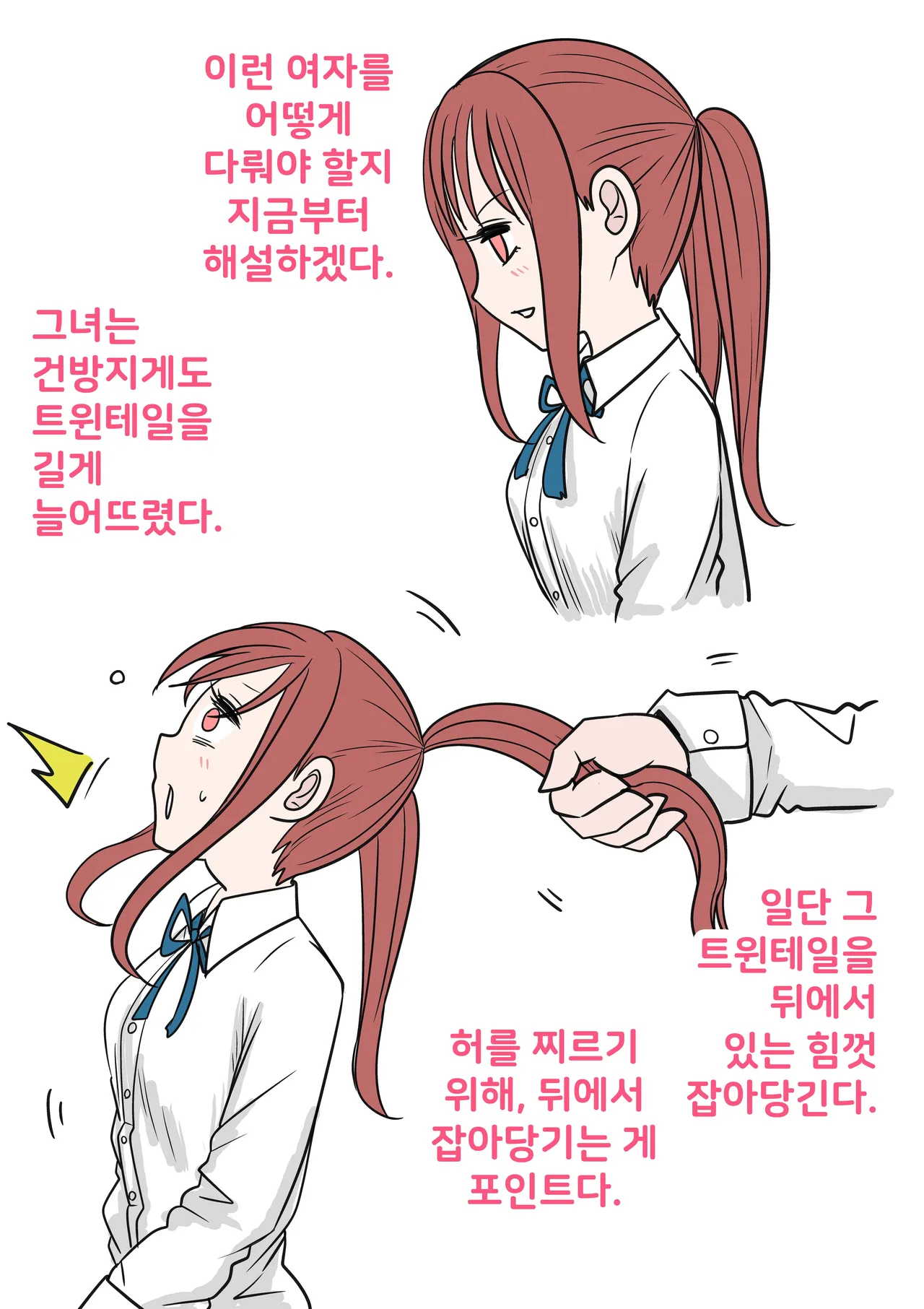 Tsuintēru no Tadashii Tsukaikata | 트윈테일의 올바른 사용법 page 3 full