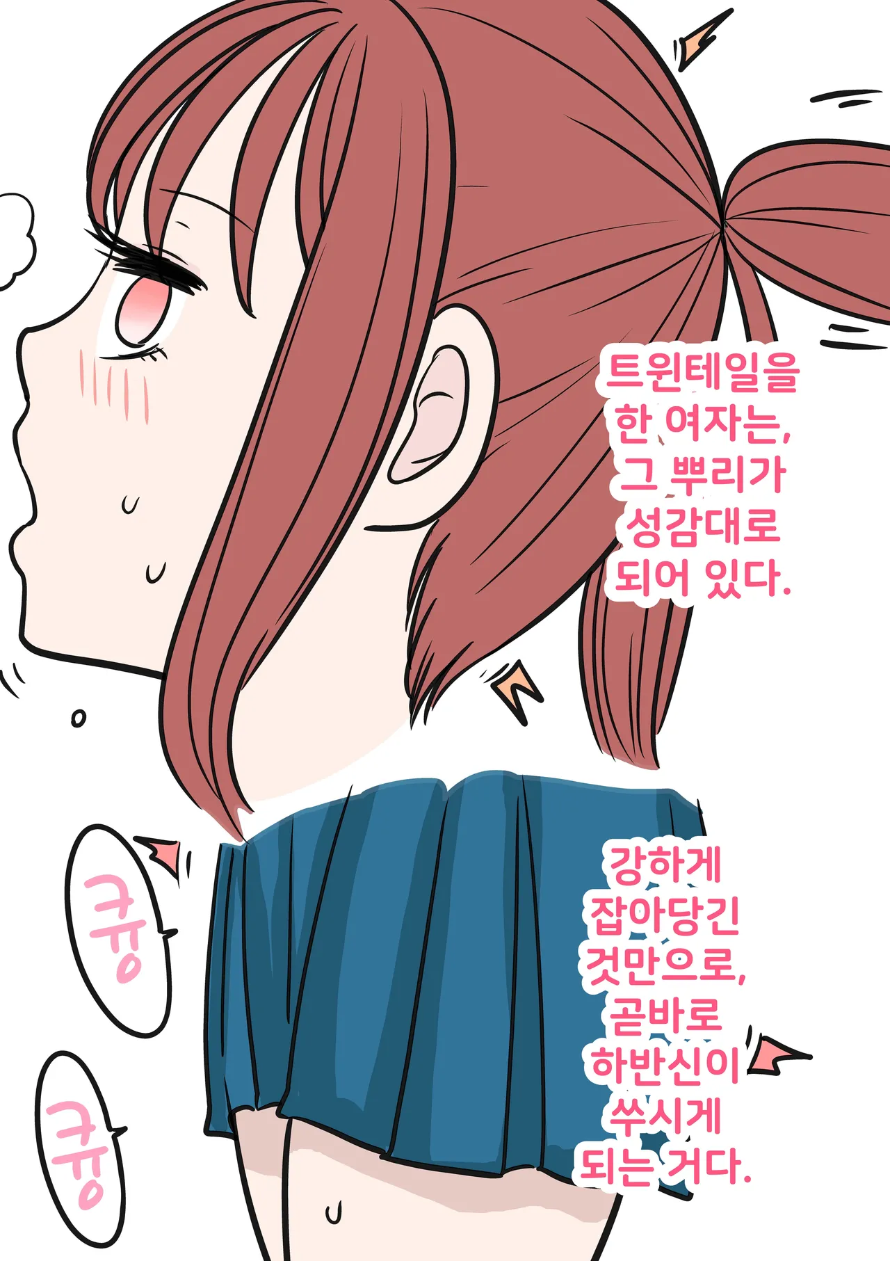 Tsuintēru no Tadashii Tsukaikata | 트윈테일의 올바른 사용법 page 4 full