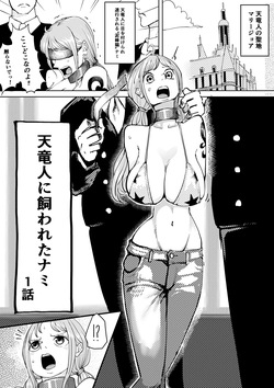 天竜人に飼われたナミ