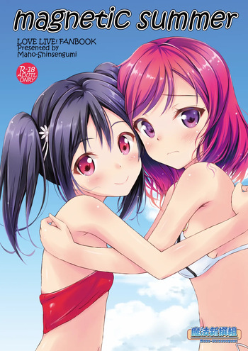 magnetic summer cover