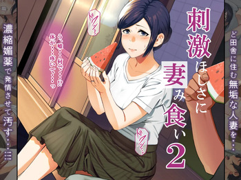 Shigeki Hoshisa ni Tsumamigui 2 cover